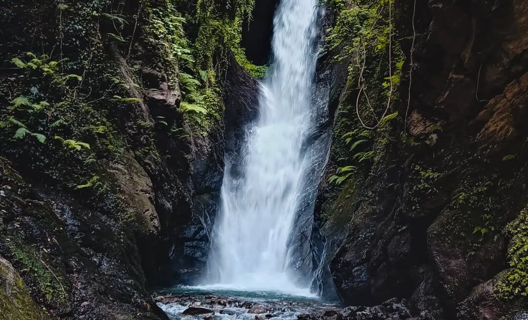 Trekking & Hiking — Forest trails & hidden waterfalls